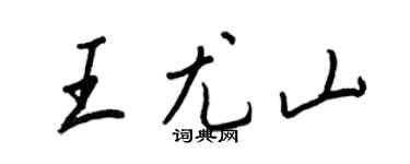 王正良王尤山行书个性签名怎么写