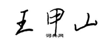 王正良王甲山行书个性签名怎么写