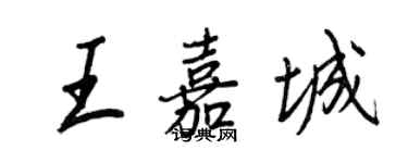 王正良王嘉城行书个性签名怎么写