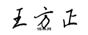 王正良王方正行书个性签名怎么写