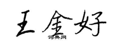 王正良王金好行书个性签名怎么写