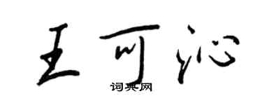 王正良王可沁行书个性签名怎么写