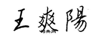王正良王爽阳行书个性签名怎么写