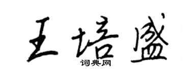 王正良王培盛行书个性签名怎么写