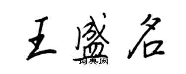 王正良王盛名行书个性签名怎么写