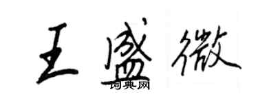 王正良王盛微行书个性签名怎么写
