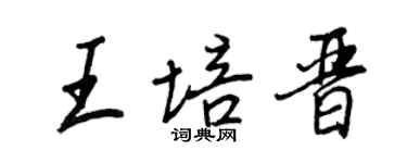 王正良王培晋行书个性签名怎么写