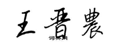 王正良王晋农行书个性签名怎么写