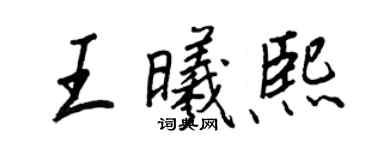 王正良王曦熙行书个性签名怎么写