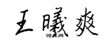 王正良王曦爽行书个性签名怎么写