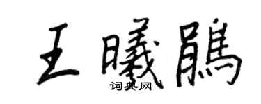 王正良王曦鹃行书个性签名怎么写