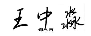 王正良王中淼行书个性签名怎么写