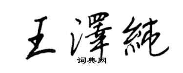 王正良王泽纯行书个性签名怎么写