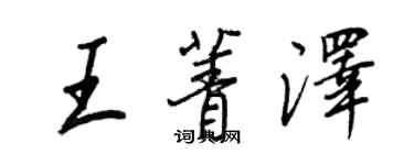 王正良王菁泽行书个性签名怎么写