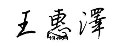 王正良王惠泽行书个性签名怎么写