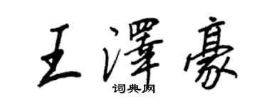 王正良王泽豪行书个性签名怎么写