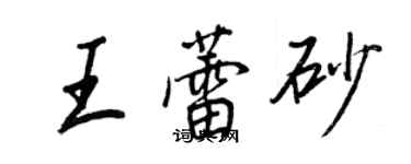 王正良王蕾砂行书个性签名怎么写