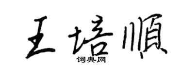 王正良王培顺行书个性签名怎么写