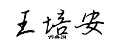 王正良王培安行书个性签名怎么写