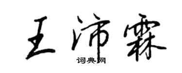 王正良王沛霖行书个性签名怎么写