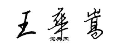 王正良王华嵩行书个性签名怎么写