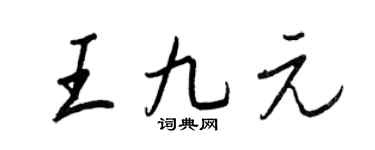 王正良王九元行书个性签名怎么写