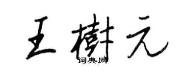 王正良王树元行书个性签名怎么写