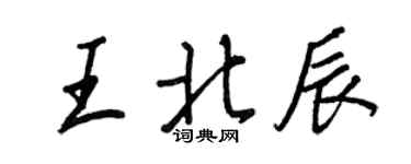 王正良王北辰行书个性签名怎么写