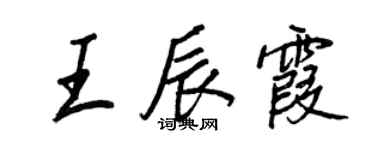 王正良王辰霞行书个性签名怎么写