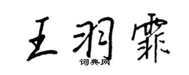 王正良王羽霏行书个性签名怎么写