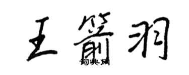 王正良王箭羽行书个性签名怎么写