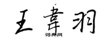 王正良王韦羽行书个性签名怎么写
