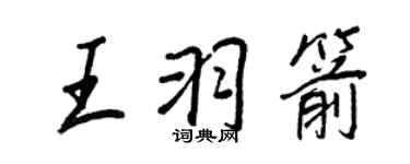 王正良王羽箭行书个性签名怎么写