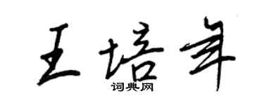 王正良王培年行书个性签名怎么写