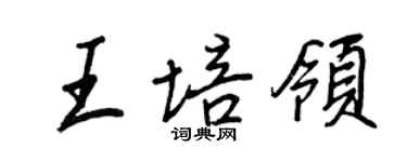王正良王培领行书个性签名怎么写