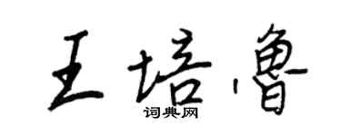 王正良王培鲁行书个性签名怎么写