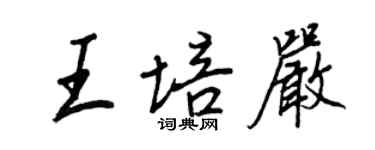 王正良王培严行书个性签名怎么写