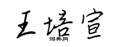 王正良王培宣行书个性签名怎么写