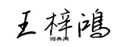 王正良王梓鸿行书个性签名怎么写