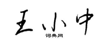 王正良王小中行书个性签名怎么写