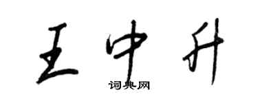 王正良王中升行书个性签名怎么写