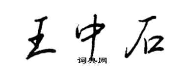 王正良王中石行书个性签名怎么写