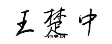 王正良王楚中行书个性签名怎么写