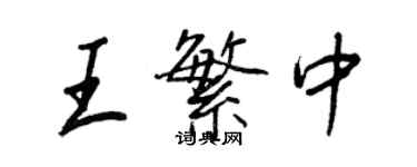 王正良王繁中行书个性签名怎么写