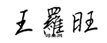 王正良王罗旺行书个性签名怎么写