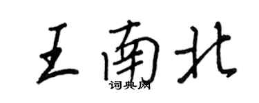 王正良王南北行书个性签名怎么写