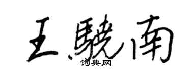 王正良王骁南行书个性签名怎么写