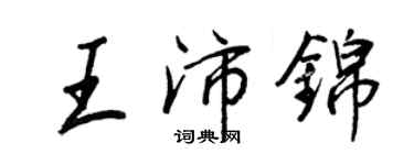 王正良王沛锦行书个性签名怎么写