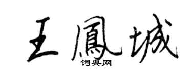 王正良王凤城行书个性签名怎么写
