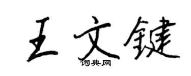 王正良王文键行书个性签名怎么写